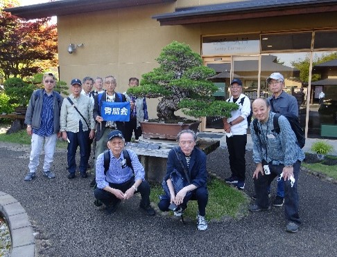 2022年5月実施 ウォーキング「大宮氷川神社から大宮盆栽美術寛を散策」