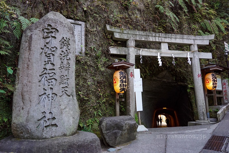 参加のみなさな