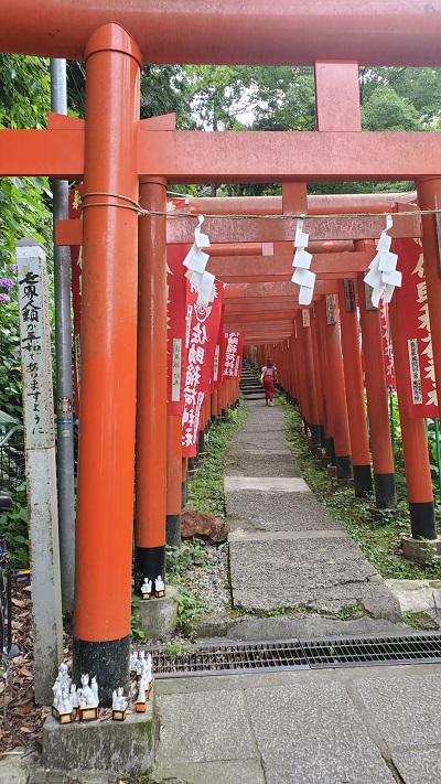 参加のみなさな