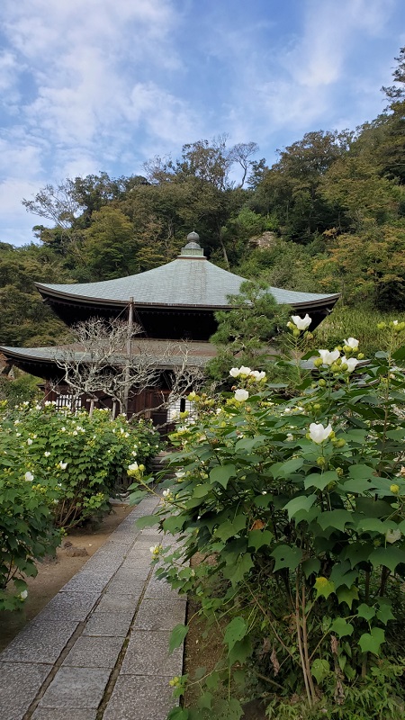 参加のみなさん